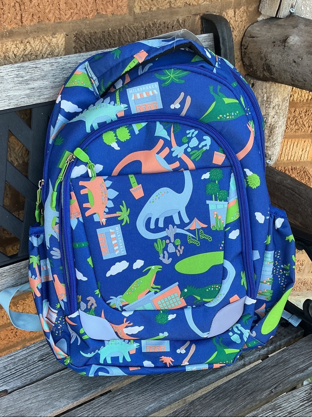 Member’s mark dinosaur backpack
